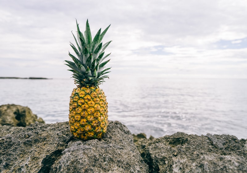 Ananasplant 
