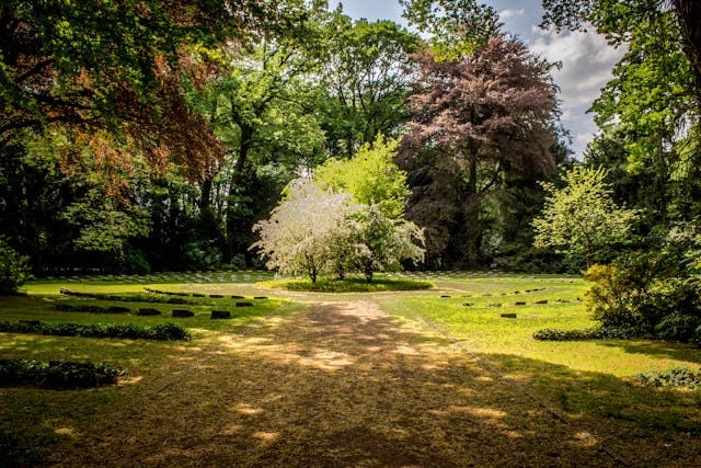 park
