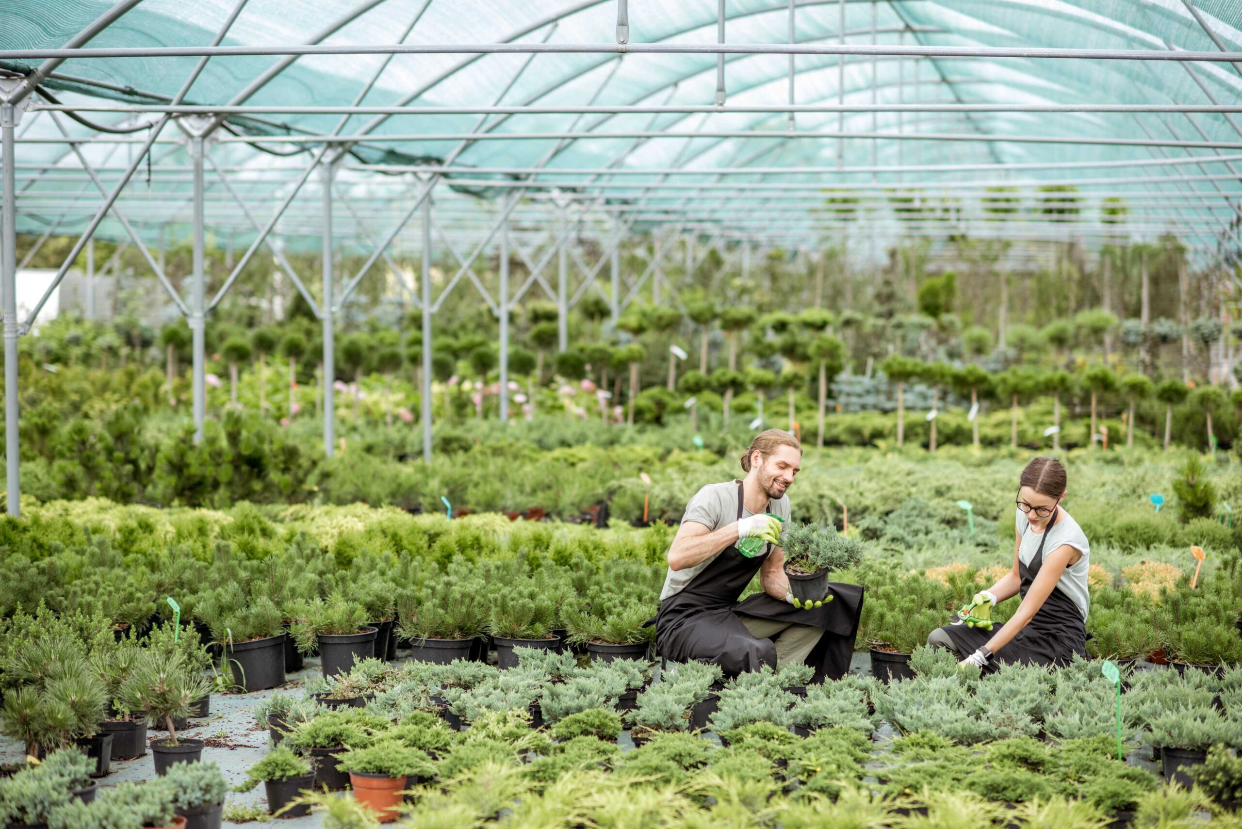 Plantenkwekerij Vechtdal