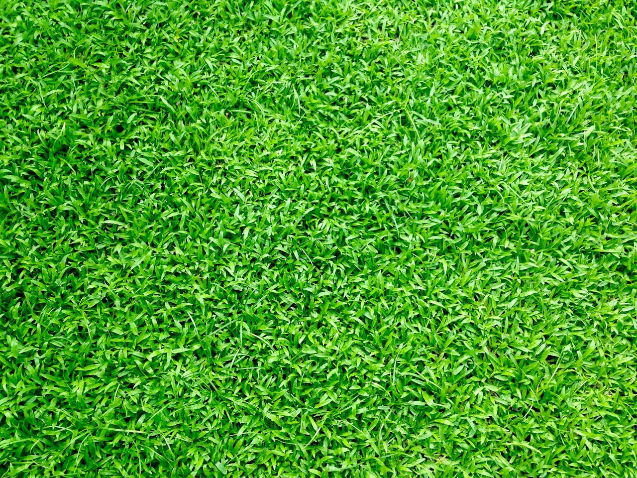 kunstgras voor in de tuin