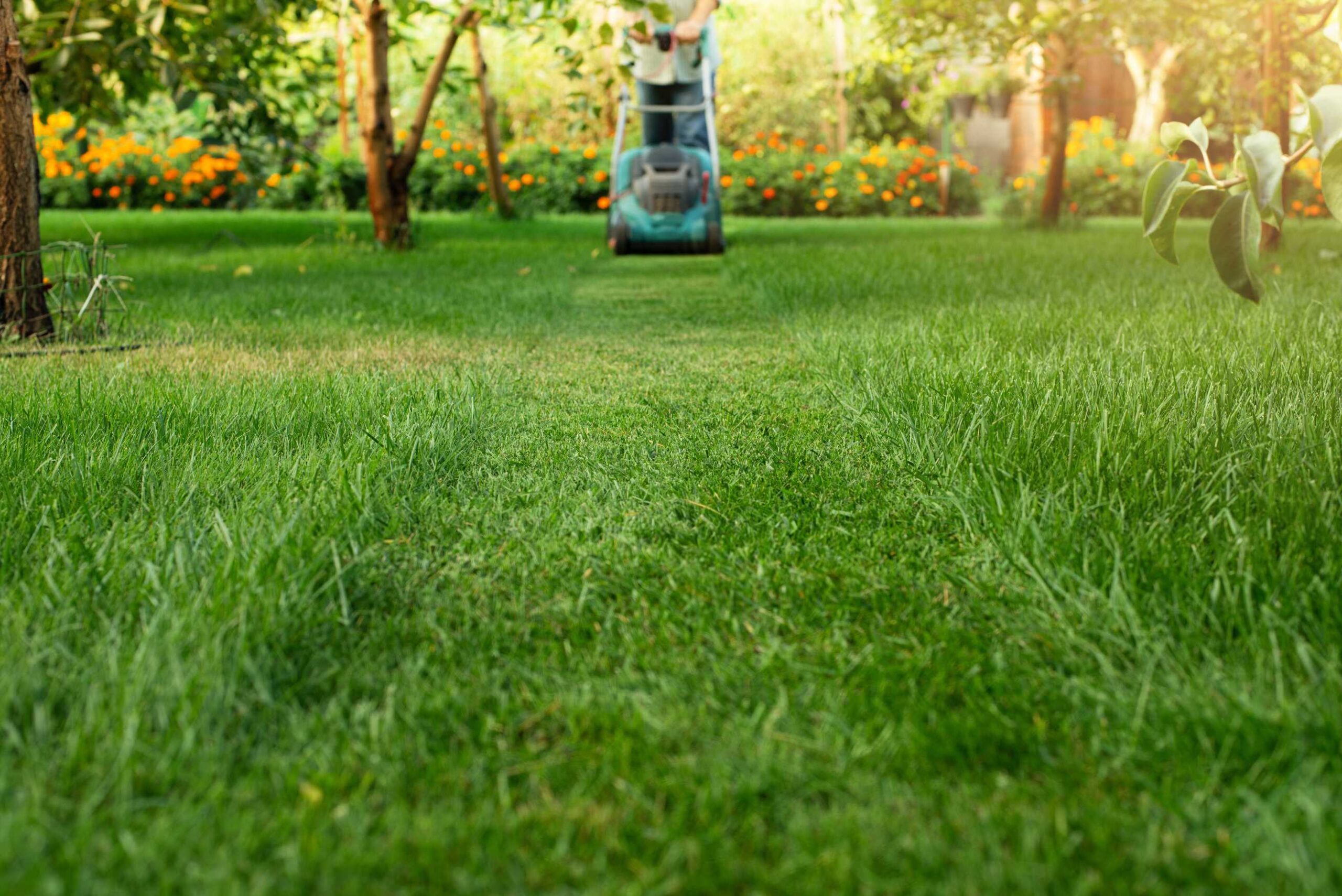 Tuinonderhoud Breda
