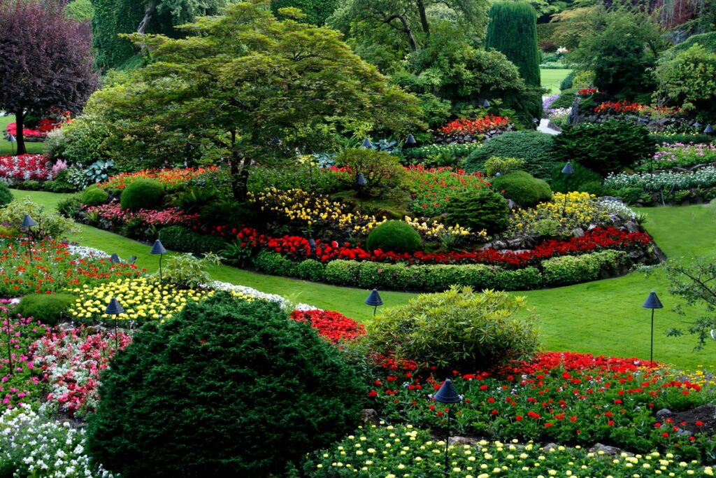 siergrassen plantenbloemenshop.nl