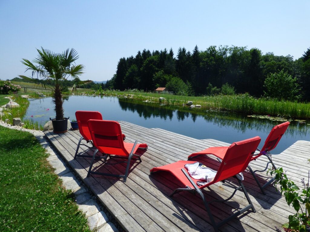 Ik wil een natuurlijke zwemvijver aanleggen in mijn tuin. Hoe krijg ik dat geregeld?